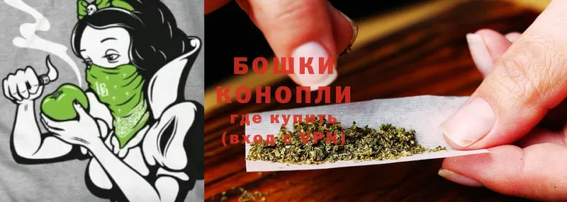 Каннабис SATIVA & INDICA  Новоузенск 